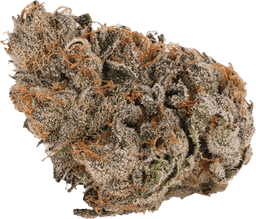 Grape Runtz